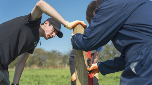 Students measuring a wooden pole in the field