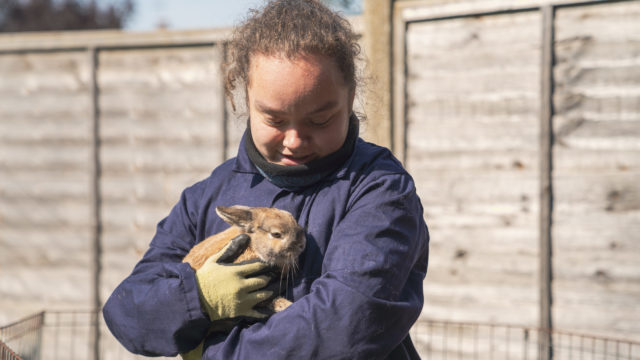 Student holding rabbit at small animals site