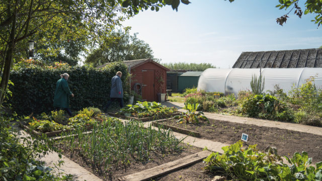 Horticulture site with rows of plant beds and a polytunnel