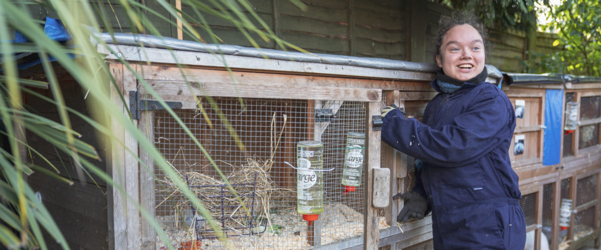 Student opening the rabbit hutch