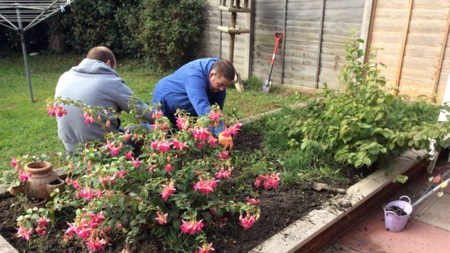 Day Service members tending to a flower patch