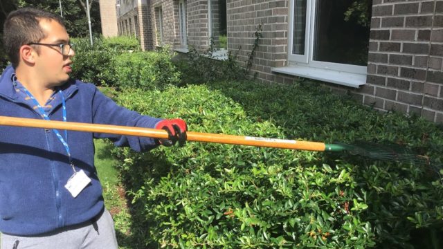 Student raking bushes at Loughborough University