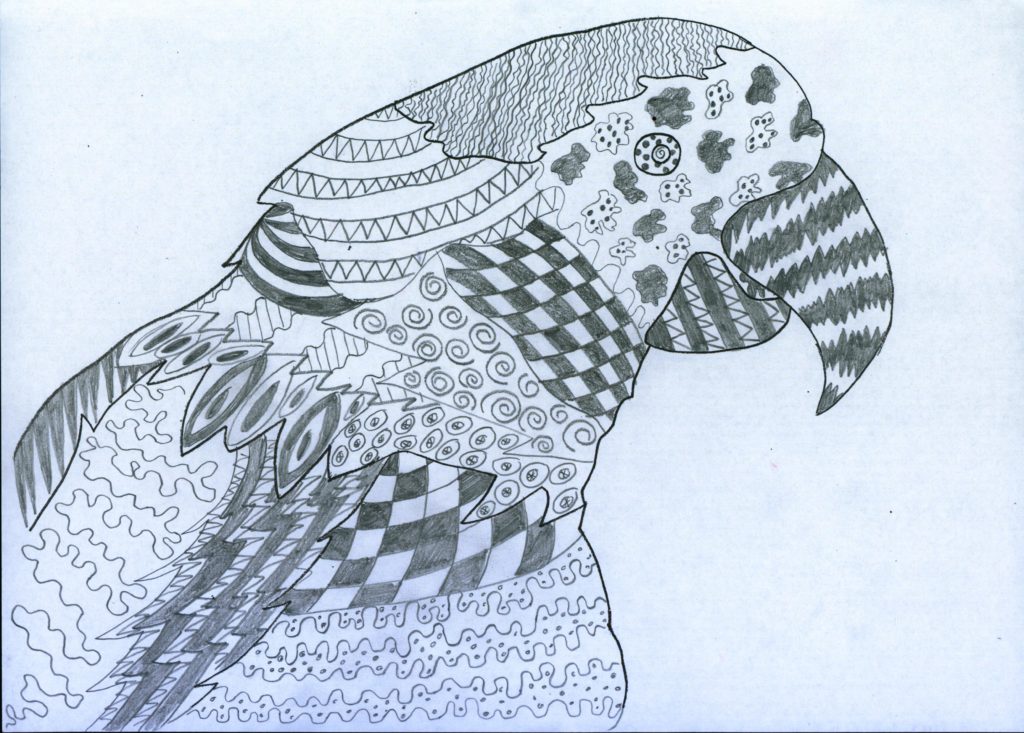 Pencil drawing of a patterned parrot