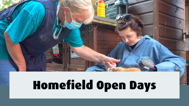 Staff stroking guinea pig on student's lap. Text reads- Homefield Open Days