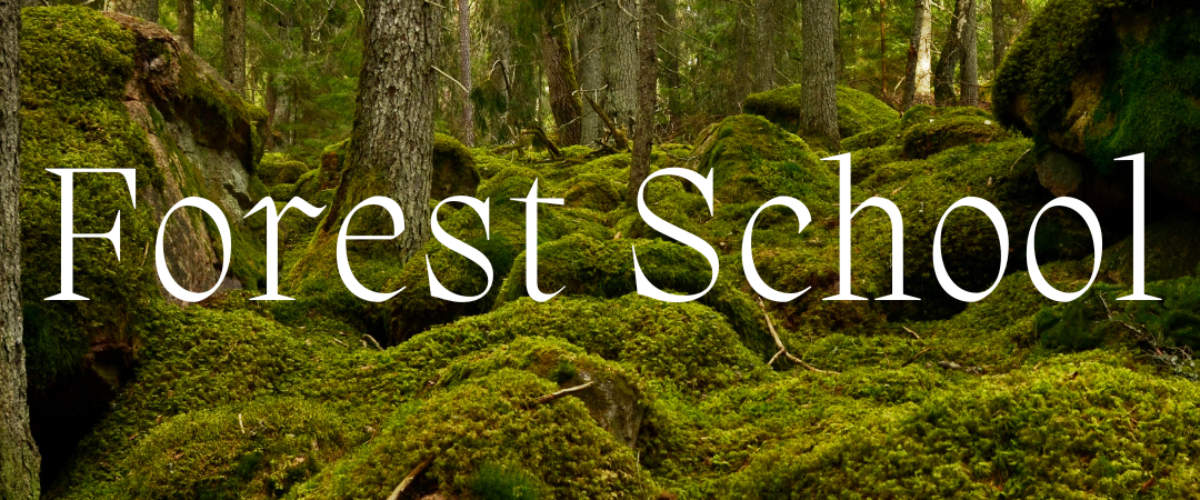 green forest with white text that says 'Forest School'