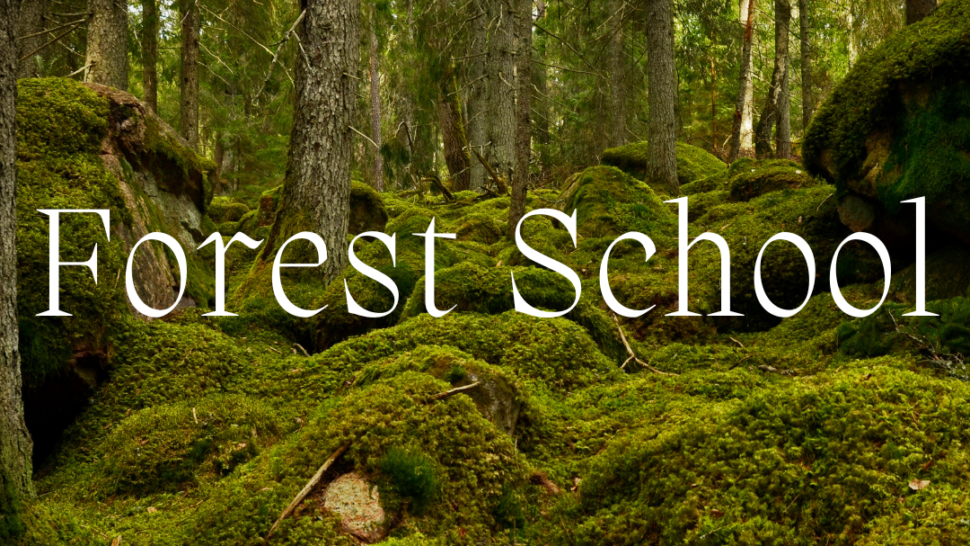 green forest with white text that says 'Forest School'