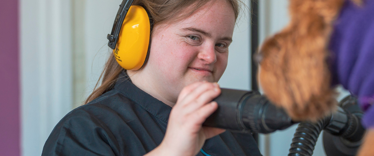 Student blow-drying dog at supported internship