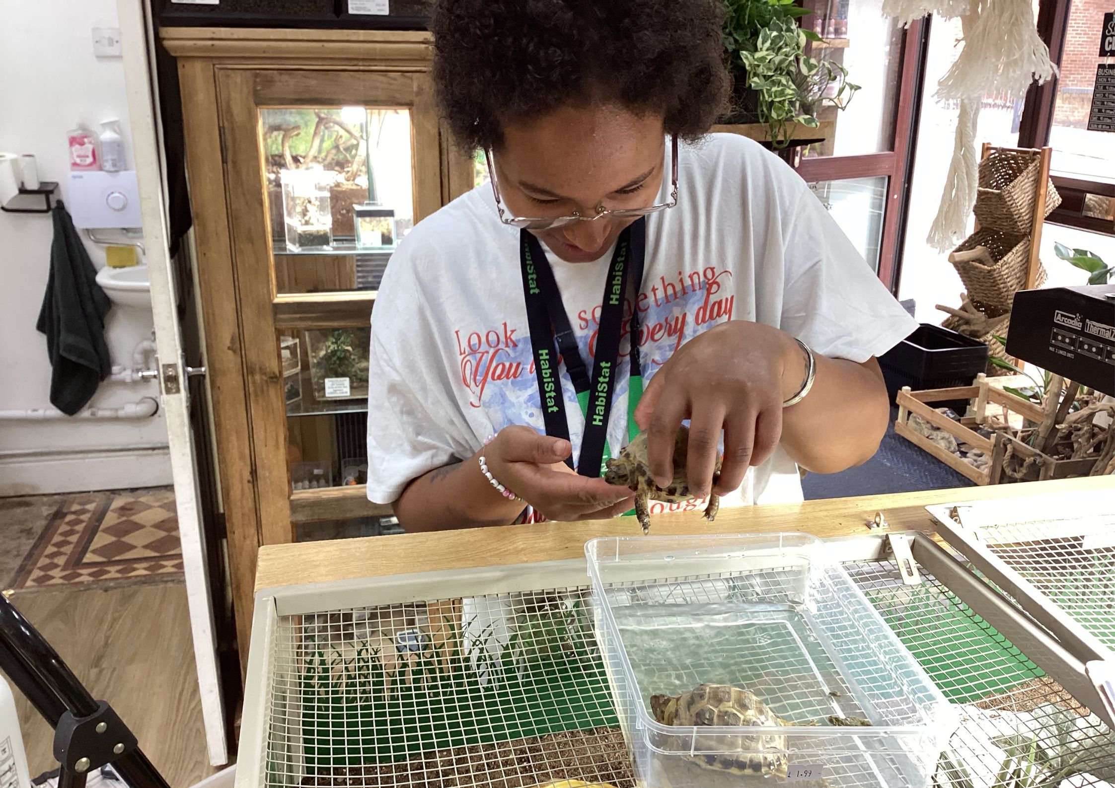 Student Aimme carefully handling a tortoise during her work placement at Riverview Reptiles.
